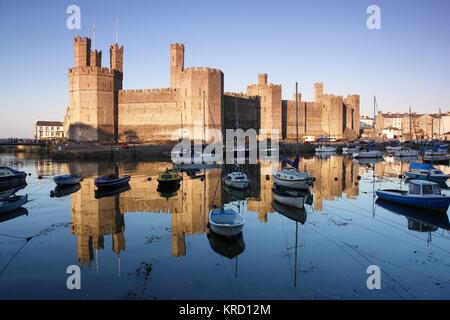 Ein beeindruckender Blick auf Caernarfon (Caernarvon) Castle in Gwynedd, Nordwales, mit zahlreichen Booten auf dem Wasser im Vordergrund. Die Burg wurde von dem englischen König Edward I. aus dem Jahr 1283 an der Stelle einer römischen Festung und Norman motte erbaut. Stockfoto