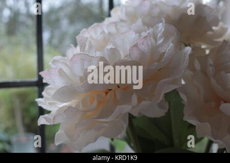 Blumen in einer Vase auf einem Fenster Stockfoto