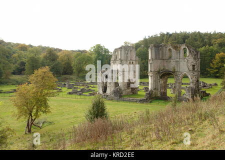 Blick auf die Ruinen der Roche Abbey, in der Nähe von Maltby in South Yorkshire, einem 1147 gegründeten Zisterzienserkloster. Stockfoto