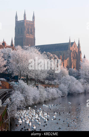 Blick auf die Kathedrale von Worcester, Worcestershire, in der Nähe des Flusses Severn, an einem frostigen Tag (einer der kältesten aller Zeiten). Der vollständige Name der Kathedrale ist die Kirche Christi und die Heilige Maria die Jungfrau von Worcester. Es wurde zwischen 1084 und 1504 erbaut und repräsentiert jeden Stil der englischen Architektur von normannischer bis hin zu rechtwinkliger Gotik. Stockfoto