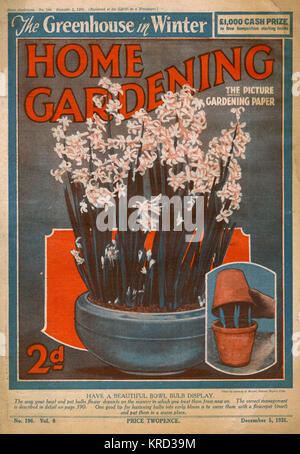 Home Gardening Magazin, Dezember 1931 Stockfoto