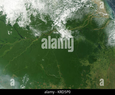 Amazon.Eine 2002182.1405.1 km Stockfoto