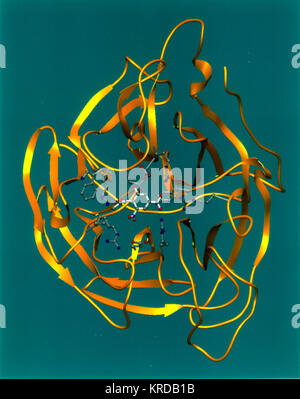 Neuraminidase Ribbon Diagramm Stockfoto