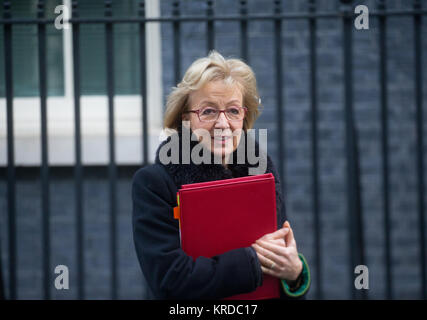 Andrea Leadsom, Führer des Unterhauses und MP für South Northamptonshire, kommt in der Downing Street für eine Kabinettssitzung Stockfoto