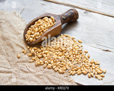Weizenkörner in Löffel aus Holz Stockfoto