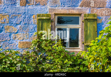 Blaues Haus-Wand mit Fenster und Reben Stockfoto