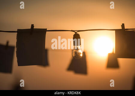 Glühbirnen und Papiere bei Sonnenuntergang Stockfoto