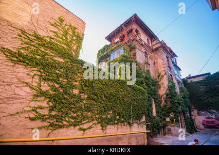 Altes Haus mit Vegetation bedeckt in Bukarest Stockfoto