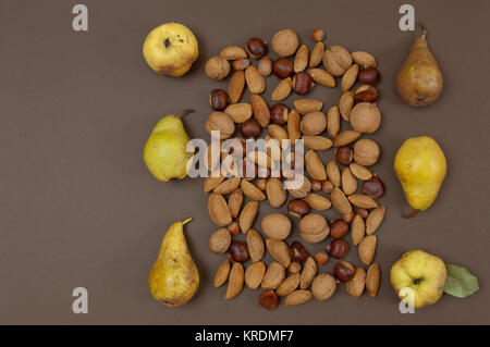 Organische Herbst Früchte und Nüsse auf Split Hintergrund isoliert Stockfoto