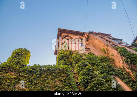 Altes Haus mit Vegetation bedeckt in Bukarest Stockfoto