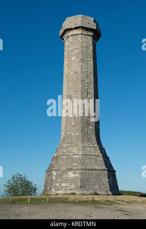 Die Hardy Denkmal errichtet wurde 1844 in Erinnerung an Vizeadmiral Sir Thomas Masterman Hardy, Flag Kapitän der HMS Victory in der Schlacht von Trafalgar. Stockfoto