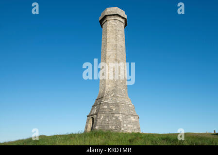 Die Hardy Denkmal errichtet wurde 1844 in Erinnerung an Vizeadmiral Sir Thomas Masterman Hardy, Flag Kapitän der HMS Victory in der Schlacht von Trafalgar. Stockfoto