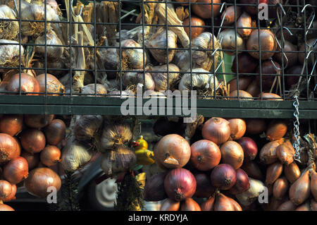 Eine Vielzahl von verschiedenen Arten von Zwiebeln für den Verkauf zu einem auf Borough Market in London. Bauernmärkte für frisch erzeugtem Obst und Gemüse. Stockfoto