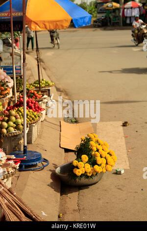 Vergessen Ringelblumen, Mekong Delta, Vietnam Stockfoto