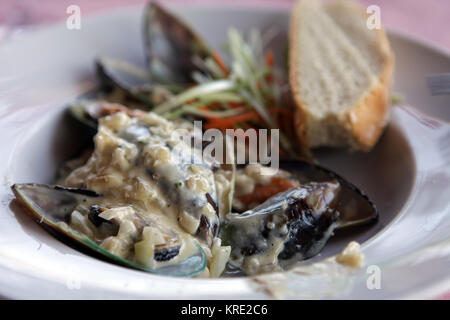 Leckere Muscheln in Sahnesauce Stockfoto