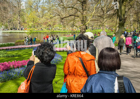 Touristen fotografieren an der Keukenhof in den Niederlanden Stockfoto