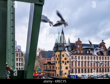 Frankfurt, Deutschland. Alte Saalhof Bauen & Möwen wie fangen Sie essen geworfen aus dem Eiserner Steg bridge.Comic Posen der Vögel Stockfoto