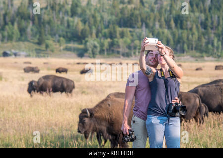 Junge paar nimmt zusammen Foto vor der Herde von Bison, Grand Tetons National Park, Teton County, Wyoming Stockfoto