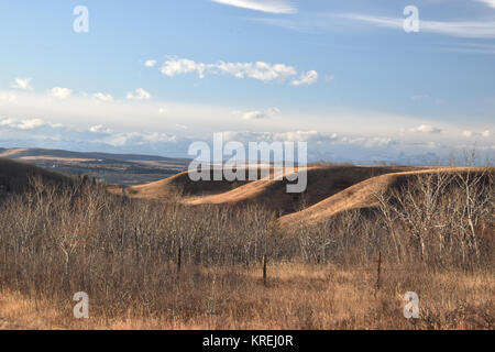 Prärien Landschaften im Winter. Airdrie, Alberta, Kanada Stockfoto