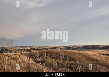 Prärien Landschaften im Winter. Airdrie, Alberta, Kanada Stockfoto