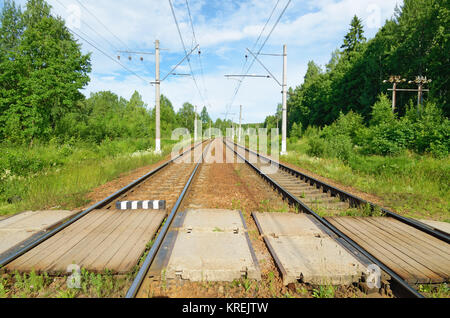 Zug in der Ferne durch den dichten Wald. Stockfoto