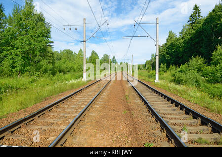 Zug in der Ferne durch den dichten Wald. Stockfoto