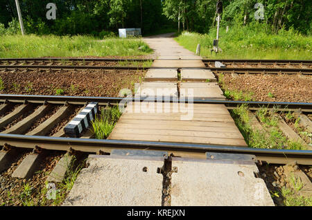 Zug in der Ferne durch den dichten Wald. Stockfoto