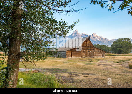 Berühmte T.A. Molton Scheune liegt vor der Teton Bergkette, Grand Tetons National Park, Teton County, Wyoming Stockfoto