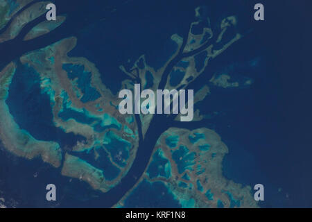 Teil des Great Barrier Reef Stockfoto