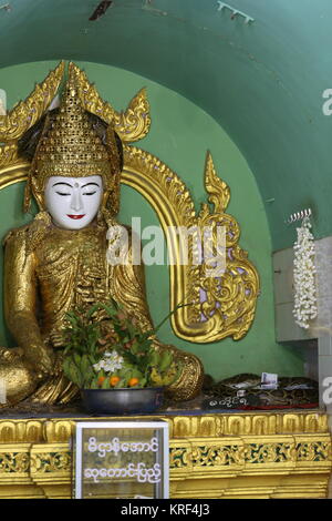 Die Schlange Pagode beherbergt mehrere Pythons, die in der Regel unter den heiligen Statuen leben. Anbeter geben Geld und Essen Segen und Glück zu verdienen. Stockfoto