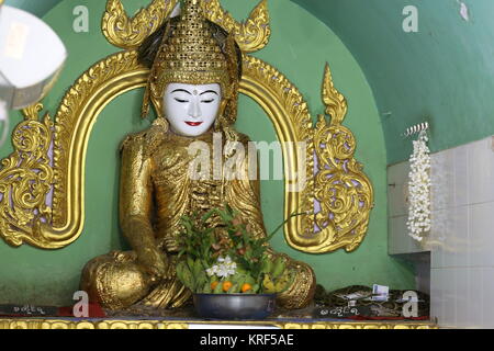 Die Schlange Pagode beherbergt mehrere Pythons, die in der Regel unter den heiligen Statuen leben. Anbeter geben Geld und Essen Segen und Glück zu verdienen. Stockfoto