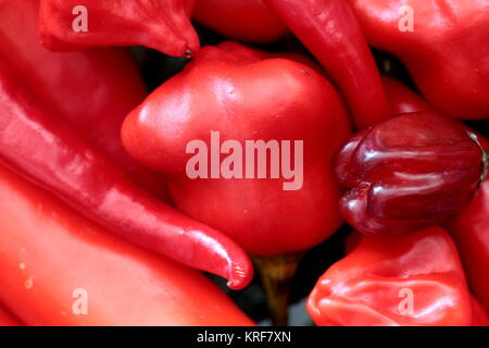 Hot Chili peppers Stockfoto