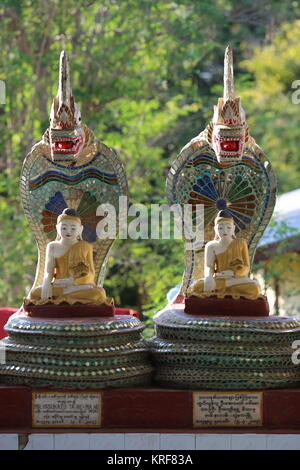 Die Schlange Pagode beherbergt mehrere Pythons, die in der Regel unter den heiligen Statuen leben. Anbeter geben Geld und Essen Segen und Glück zu verdienen. Stockfoto