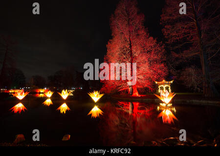 Surrey, Großbritannien. 19. Dezember, 2017. Royal Horticultural Society in Wisley zauberhafte Weihnachten Leuchten Ereignis, Surrey, England, UK. 19 Dez, 2017. RHS Wisley funkelt diese festliche Jahreszeit als Teil seiner Weihnachten Leuchten. Eine der besten Gärten der Welt hat schön seine Gärten mit Blumen leuchten und Installationen lit für Weihnachten. Credit: Jeff Gilbert/Alamy leben Nachrichten Stockfoto