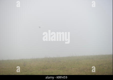 Brighton, East Sussex. Dezember 2017 20. UK Wetter. Dichter Nebel über Brighton verursacht geringere Sichtbarkeit, als von unten, wo Bevendean Bevendean die South Downs National Park entspricht. Credit: Francesca Moore/Alamy leben Nachrichten Stockfoto