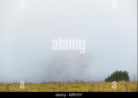 Brighton, East Sussex. Dezember 2017 20. UK Wetter. Dichter Nebel über Brighton verursacht geringere Sichtbarkeit, als von unten, wo Bevendean Bevendean die South Downs National Park entspricht. Credit: Francesca Moore/Alamy leben Nachrichten Stockfoto