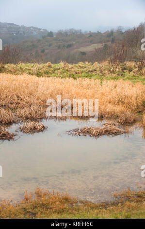 Brighton, East Sussex. Dezember 2017 20. UK Wetter. Dichter Nebel über Brighton verursacht geringere Sichtbarkeit, als von unten, wo Bevendean Bevendean die South Downs National Park entspricht. Credit: Francesca Moore/Alamy leben Nachrichten Stockfoto