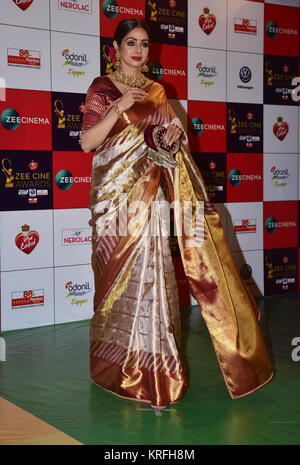 Mumbai, Indien. 19 Dez, 2017. Indische Schauspielerin Sridevi nehmen an den Roten Teppich bei Zee Cine Awards 2018 MMRDA Ground, Bandra in Mumbai. Credit: SOPA/ZUMA Draht/Alamy leben Nachrichten Stockfoto