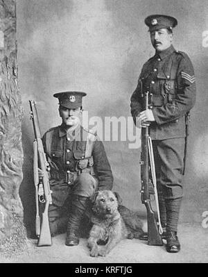 Ein Airedale Terrier mit zwei Männern der Norfolk Regiment, die ihn als Sentry Hund posieren. Der Hund war auf der Aisne in 1914 getötet. Datum: 1914 Stockfoto