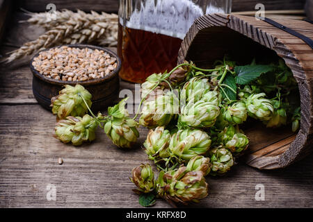 Holzfass mit der Herbsternte von Hopfendolden Stockfoto