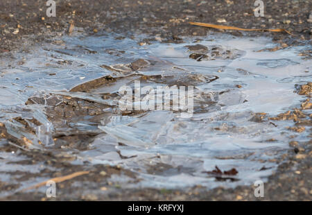 Risse im Eis im Winter auf dem Boden, wo eine Pfütze eingefroren hat. Stockfoto