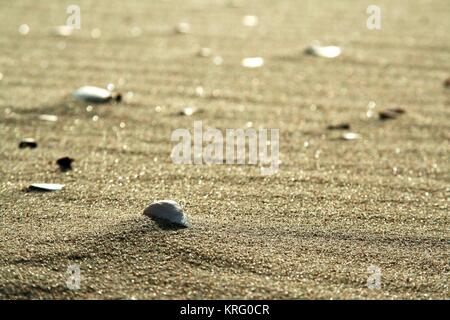 Golden Sand am Strand 1. Stockfoto