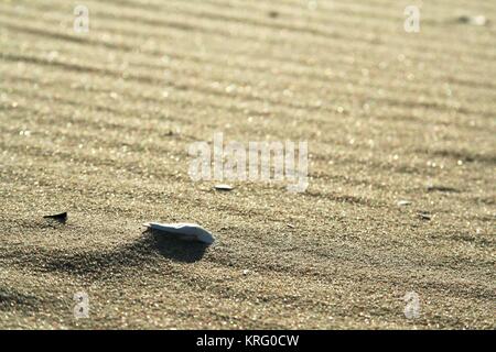 Golden Sand am Strand 2. Stockfoto