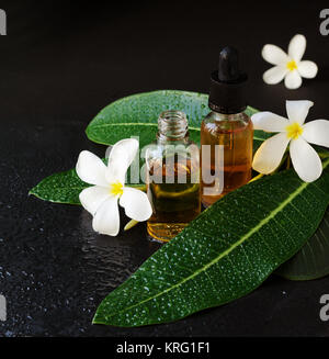 Kleine Gläser mit Öl und Frangipani Plumeria patchouli Blumen für Wellnessanwendungen auf schwarzem Hintergrund, selektiven Fokus Stockfoto