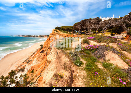 Küste bei Ohos de Aqua in der Nähe von Albufeira, Algarve, Portugal im Frühjahr mit Hottentot Abb. (Carpobrotus edulis) Blumen in voller Blüte Stockfoto