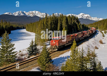 CP Rail intermodalen Güterverkehr im ostgehenden Verkehr von 4 Loks geführt von 8531 übergibt Storm Mountain Lookout im Banff National Park gezogen Stockfoto