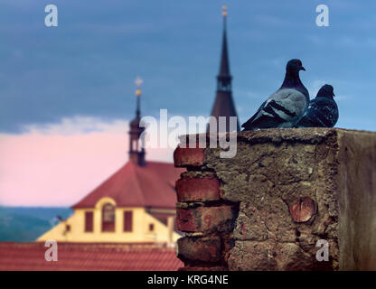 Zwei Tauben auf einem Schornstein über den Dächern von Prag am frühen Morgen, text Raum Stockfoto