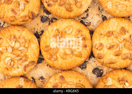 Cookies mit Erdnüssen und Schokolade. Stockfoto