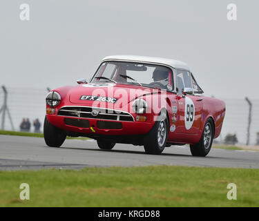 Neil Fröhlich, Paul Clayson, Sunbeam Tiger, GT und Sportwagen Cup, Pre-66 GT Autos, Pre-63 Sportwagen, Donington historische Festival, 2017, Motor Racing, Mot Stockfoto