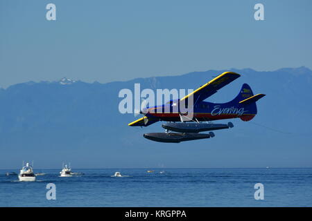 Ein Wasserflugzeug kommt für eine Landung im inneren Hafen von Victoria. Stockfoto